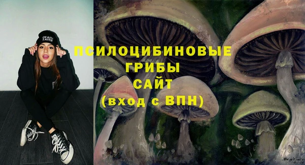 а пвп мука Абаза