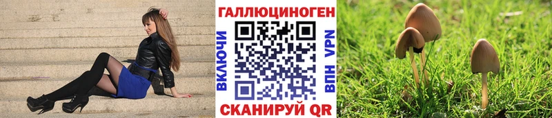 что такое   Старая Купавна  Галлюциногенные грибы мицелий 