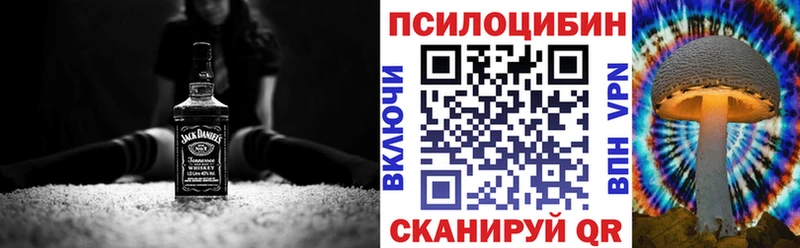 Галлюциногенные грибы Psilocybine cubensis Старая Купавна