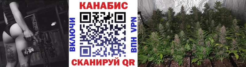 купить  сайты  Старая Купавна  Бошки марихуана план 